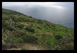 Dingli Cliffs -23-02-2015 - Bogdan Balaban